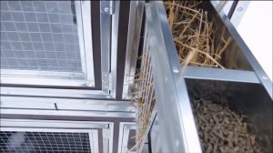 Утепленный крольчатник Бестселлер