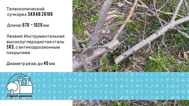 Сучкорез телескопический 670-1020мм SK5 SKRAB 28186 смотреть онлайн