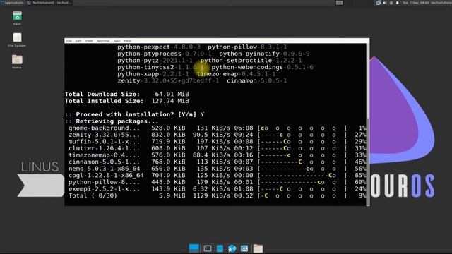 How to Install Cinnamon Desktop on EndeavourOS | Install Cinnamon on EndeavourOS 2021 смотреть онлайн