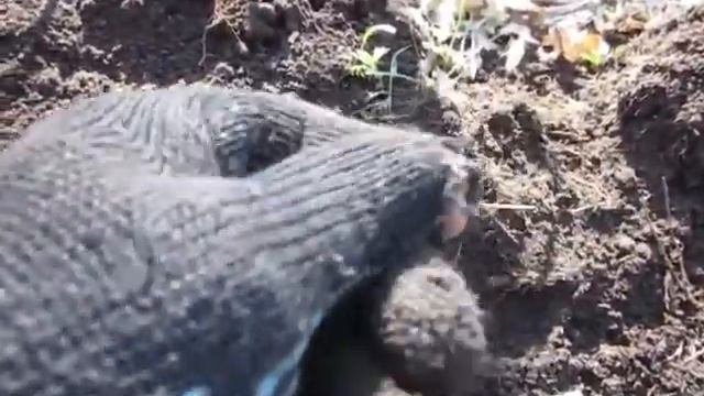 Коп на новых местах. Монеты третьего Рейха.