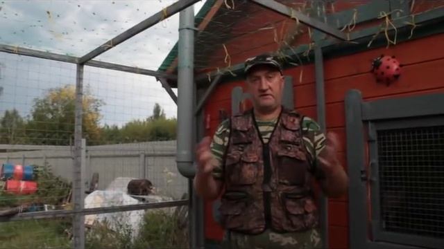 Рис, греча, перловка, крупа для кур несушек. смотреть онлайн