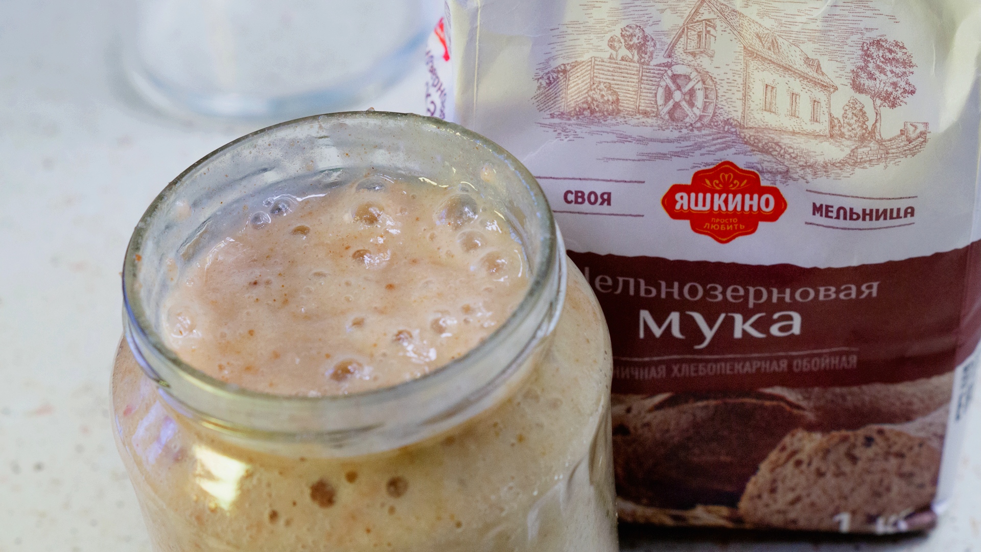 Закваска живая для кваса и теста