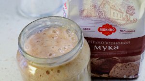 Закваска живая для кваса и теста