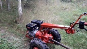 На мотоблоке Беларус МТЗ Hammermann 16 л.с. за грибами в лес