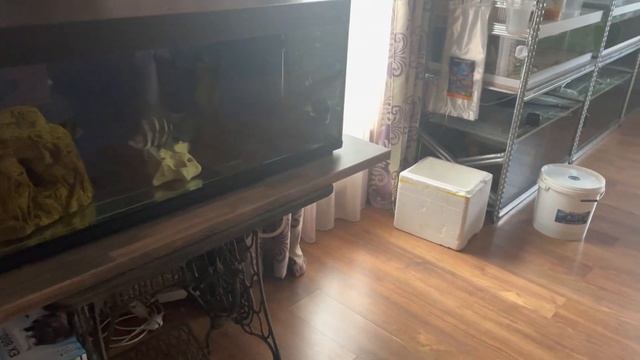 Когда выключилось электричество смотреть онлайн