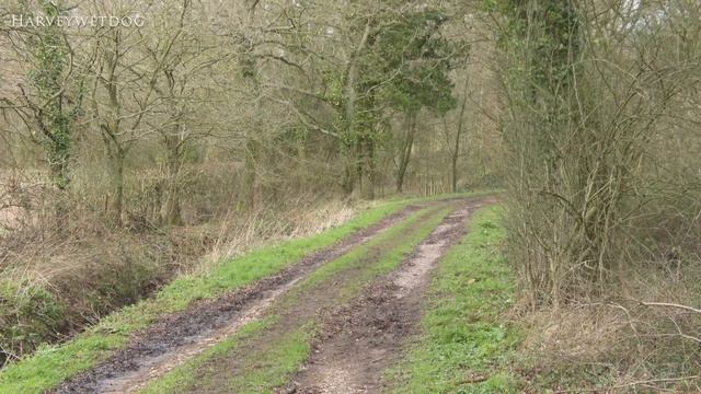 Sony PXW-Z190 Field Trial #6 - Bulley Church and Bulley Woods Directors Cut! смотреть онлайн