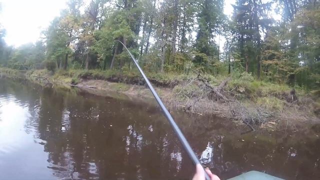 Рыбалка в Мещерском заповеднике смотреть онлайн