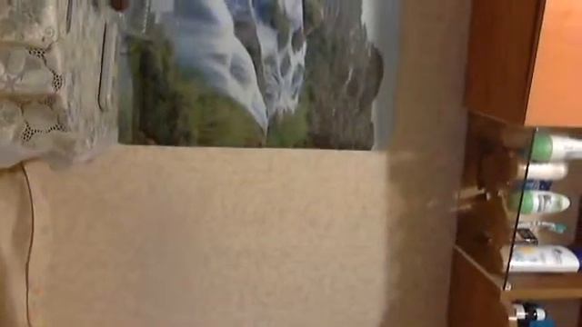 Видео c веб-камеры от 16 декабря 2014 г., 10:12 (PST) смотреть онлайн