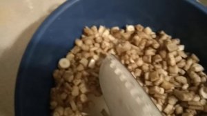 Весенняя заготовка корней одуванчика для кофе. Копаем, чистим, сушим корни одуванчика.