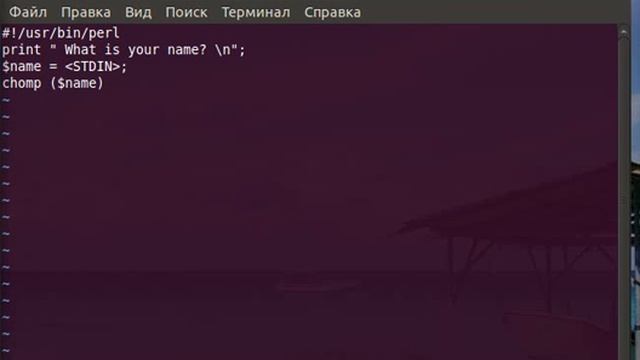 Perl. Lesson 1 смотреть онлайн