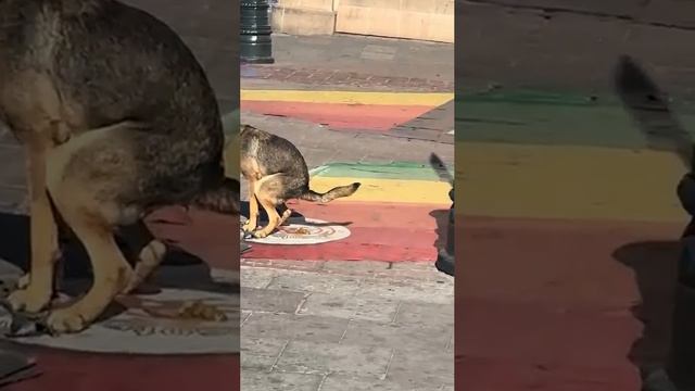 Хороший мальчик смотреть онлайн