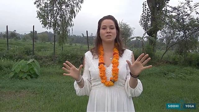 Siddhi Yoga: Yoga Teacher Training (RYT200) Review by Ella from UAE смотреть онлайн