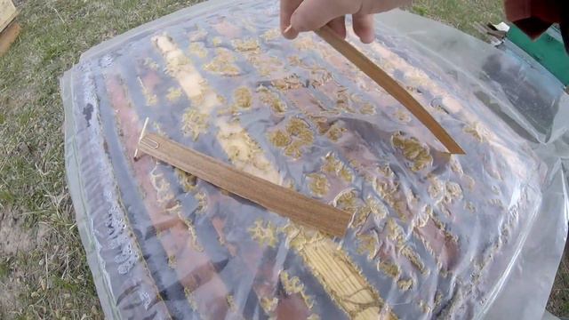 Прошлогодние рои после зимовки... смотреть онлайн