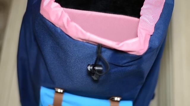 Herschel Little America Backpack Review / Use By An Art Student смотреть онлайн