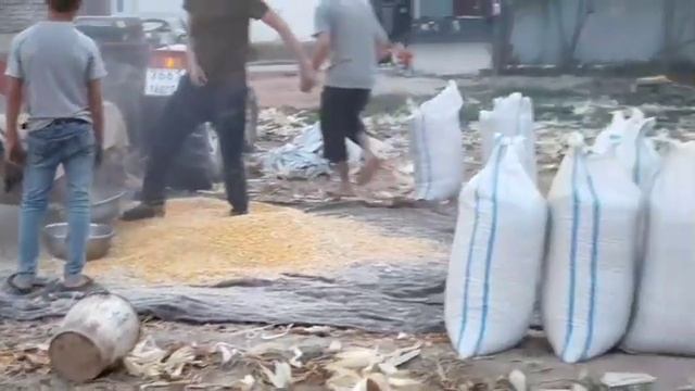 как очистить кукурузу от початка, простая приспособа своими руками за 1 минуту смотреть онлайн