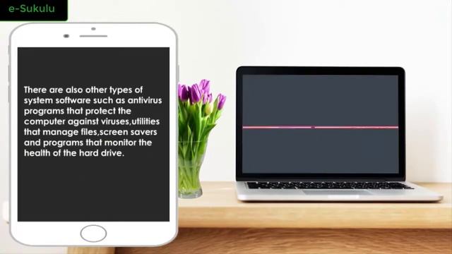 Junior Secondary ( Grades 8 & 9) Computer Studies ( Zambia Syllabus) смотреть онлайн