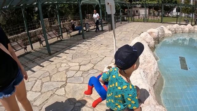 КОРМИМ С ДАНЕЙ БЕЗДОМНЫХ КОШЕЧЕК ? смотреть онлайн