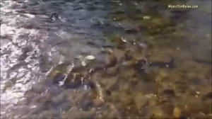 Разлилася речка быстрая - Караоке