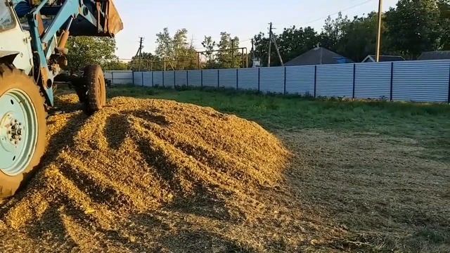 Силосование измельчённой кукурузы МТЗ 80 смотреть онлайн