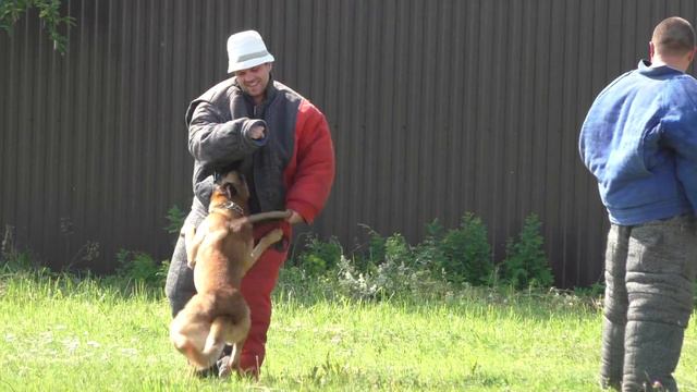 малинуа Жак группа Б 4 этап смотреть онлайн