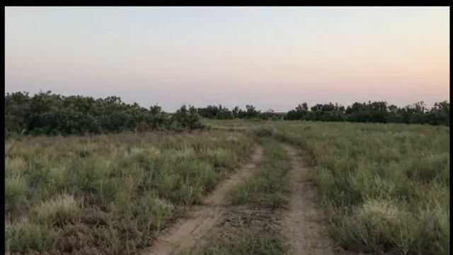 Рыбалка в Арнасай. "Ловля Жереха" 2021 смотреть онлайн