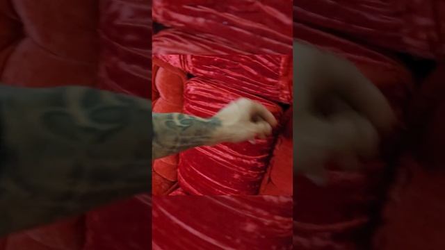 БАРХАТНЫЙ диван в волгу ГАЗ 24 смотреть онлайн