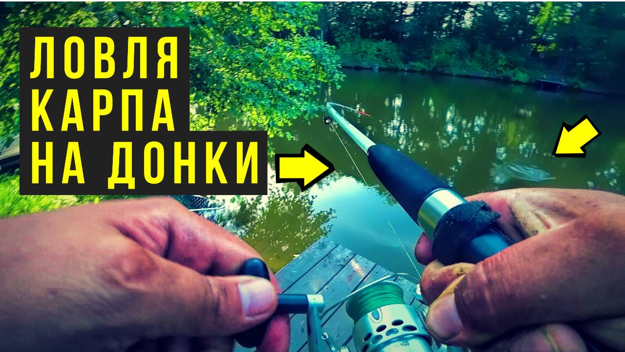 ЛОВЛЯ КАРПА РЫБАЛКА НА ПРУДУ смотреть онлайн