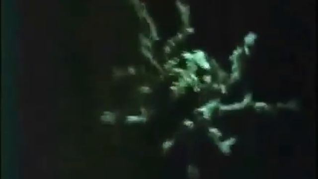 Поучайте лучше ваших паучат смотреть онлайн