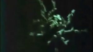 Поучайте лучше ваших паучат