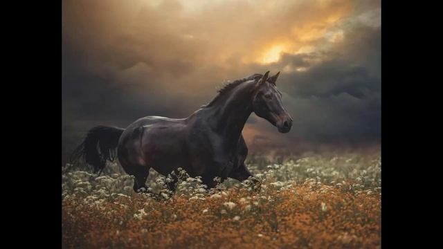 31 августа День Флора и Лавра. Лошадиный праздник. Главные запреты последнего летнего дня. смотреть онлайн