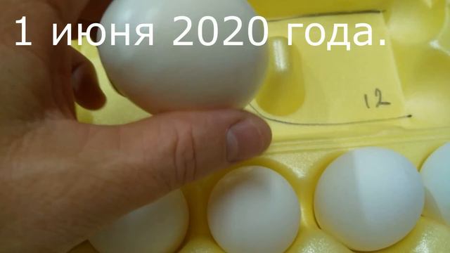 Объявление для покупателей пищевого яйца  120,130,150 и больше не как