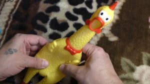 Кричащая курица. Crazy пищалка