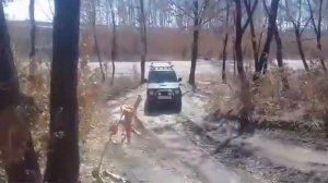 Pajero MIni/ краткий обзор и легкий тест драйв