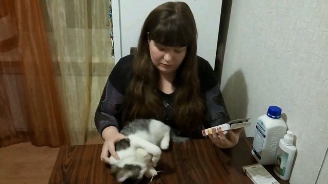 Как избавиться от блох в домашних условиях смотреть онлайн