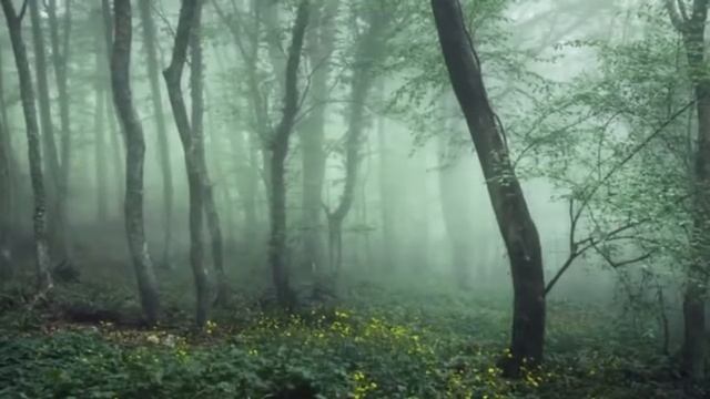 Лечим сердце гитарой. Флейтой печень . Саксафоном почки. Автор методики Рушель Блаво смотреть онлайн