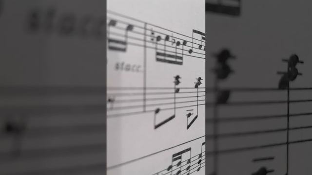 О. Курносова 