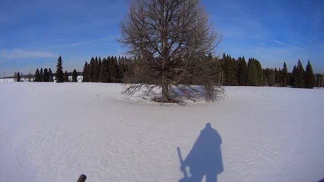 Пилите Шура, пилите! смотреть онлайн