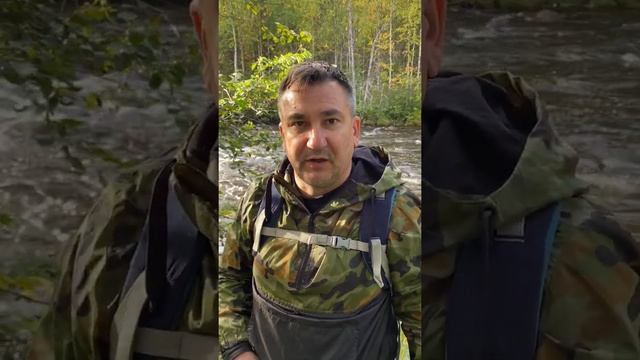 Гуманность! смотреть онлайн