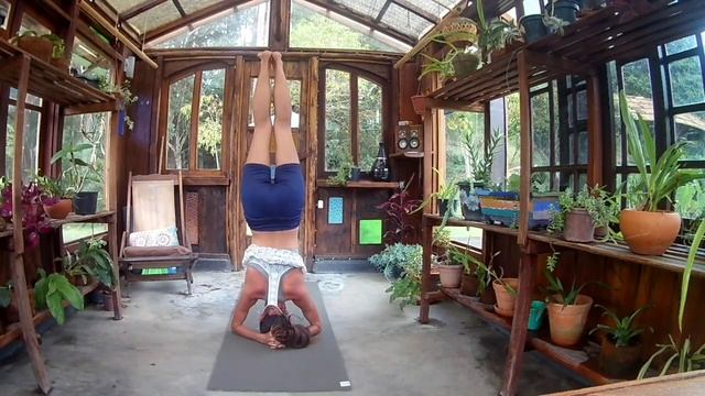 Yoga intermediate. Йога для продолжающих. смотреть онлайн