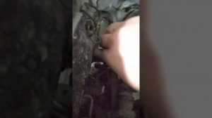 Рено Логан высокие обороты двигателя.