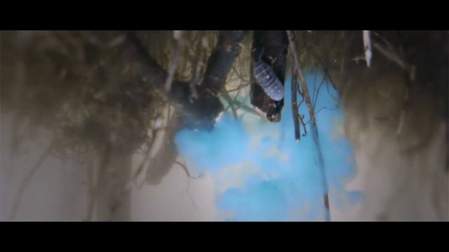 Upstream Color - Perfectly Sound смотреть онлайн
