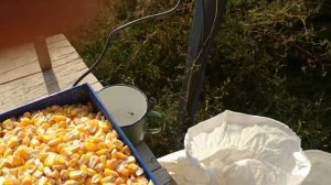 Зернодробилка Электролит Electrolite ИЗБ 3. Обзор.