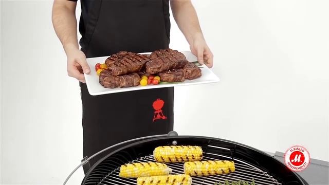 Фартук для гриля Weber смотреть онлайн