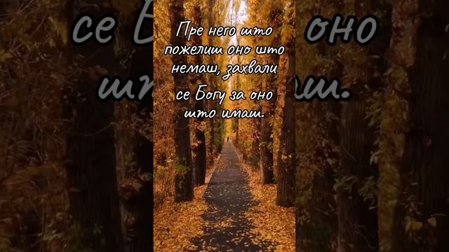 Пре него што пожелиш оно што немаш... смотреть онлайн