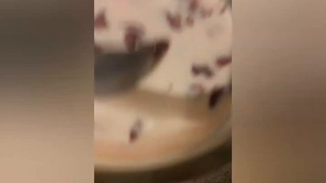 Домашний ПАШТЕТ  из Куриной печени