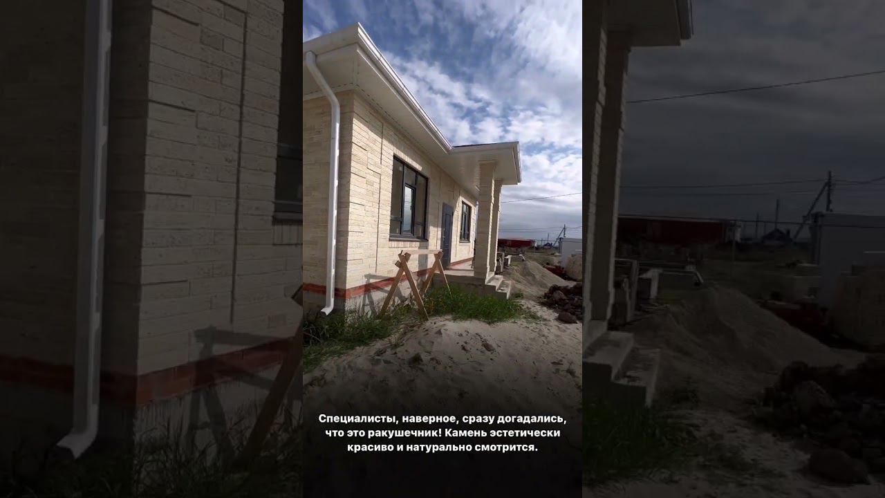 IРакушечник смотреть онлайн