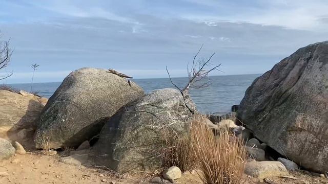 Морское утро Seashore USA Атлантический океан великолепный вид Рай на земле смотреть онлайн