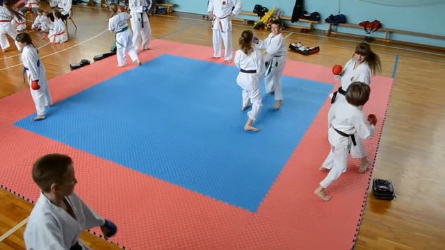 Martial Arts Kobudo Combat & Karate Kumite Combat