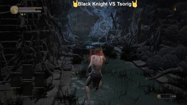Dark Souls 3 - Naked SL1 Run - Black Knight VS Knight Slayer Tsorig! BKGS VS FUGS! смотреть онлайн
