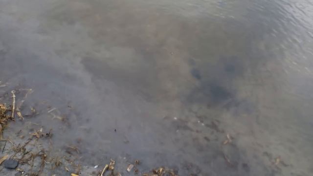 Рыбалка на судака. Джиг или отводной. Поймал,отпустил! смотреть онлайн